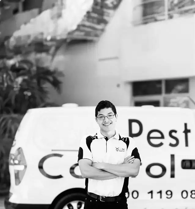 Sydney SAFE PEST CONTROL TEAM